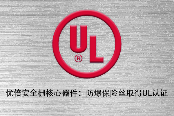 ��������(�й���)���޹�˾����