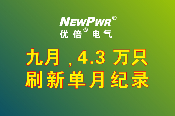 ��������(�й���)���޹�˾����